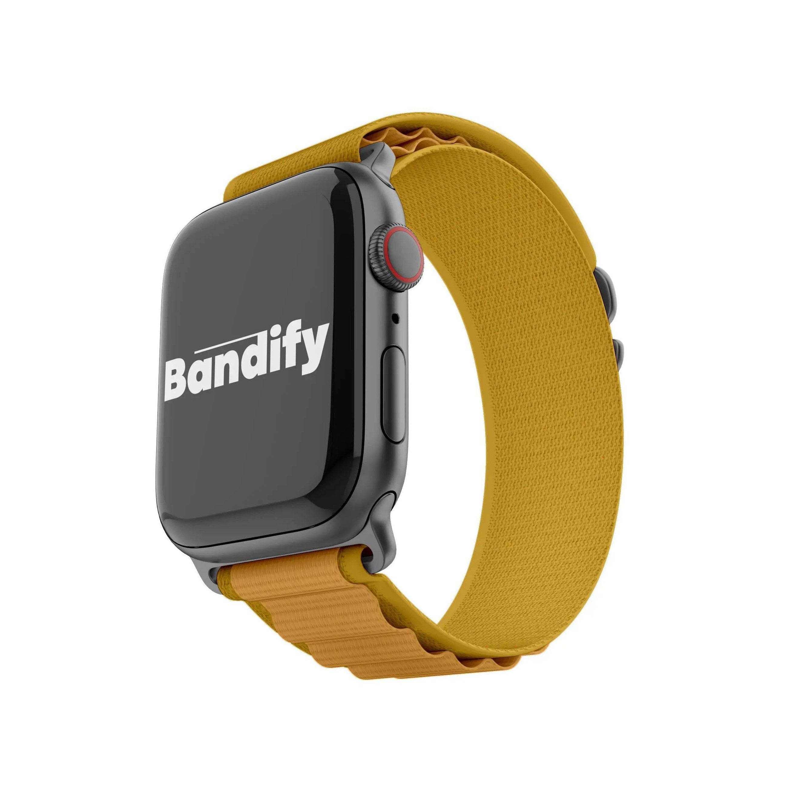 Alpine Loop | Alpine Yellow Bandify